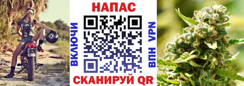 Бошки марихуана марихуана  дарк нет официальный сайт  Печора  как найти  